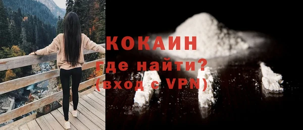 спиды Богородицк