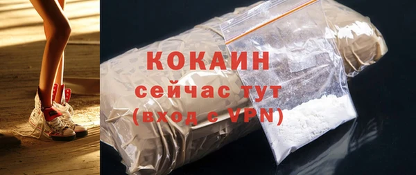 спиды Богородицк