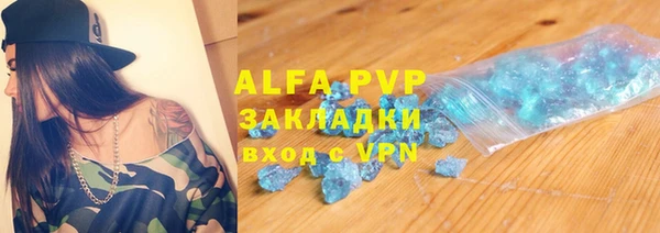 спиды Богородицк