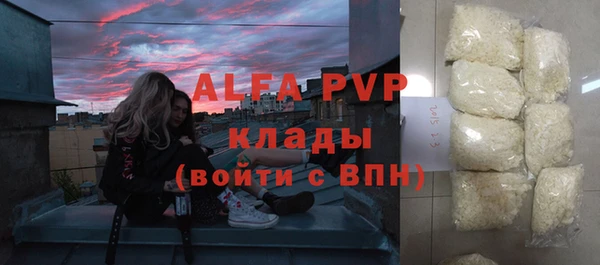 спиды Богородицк