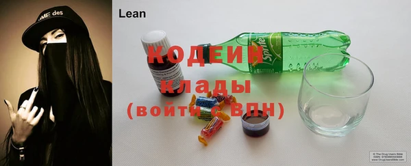 спиды Богородицк