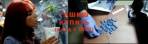 спиды Богородицк