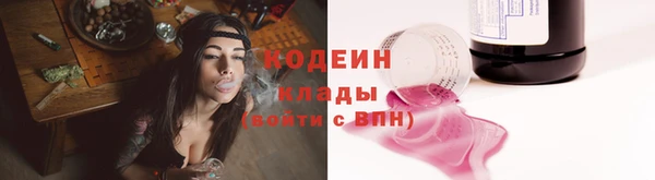 спиды Богородицк