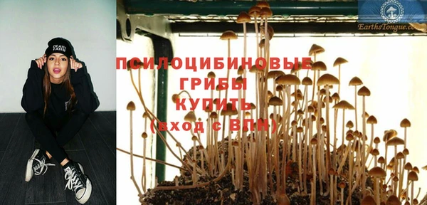 MESCALINE Богородск