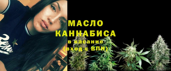 спиды Богородицк