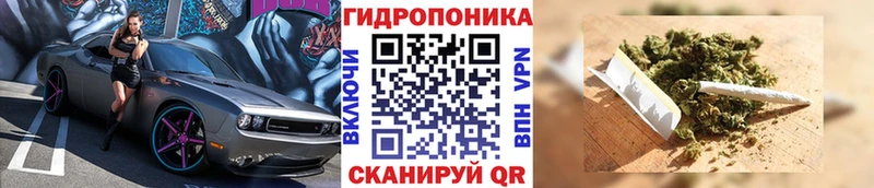 Конопля LSD WEED  Новоржев 